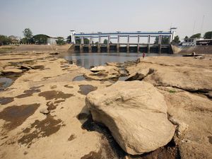 Sungai Cisadane Makin Mengering Gegara Kemarau