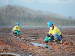 Program CSR Mampu Bantu Perbaikan Desa di Banyuwangi