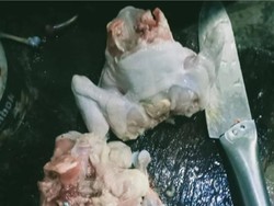 Heboh Warga Pekalongan Terima Bantuan Daging Ayam Busuk, Ini Penjelasan Pemkab