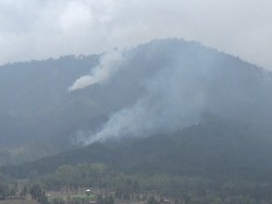 Hutan Gunung Semeru Terbakar