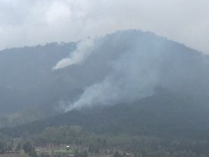 Hutan Gunung Semeru Terbakar Hutan Gunung Semeru Terbakar