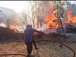 Rumah-Kandang Sapi di Soppeng Ludes Terbakar Usai Ditinggal Pemilik