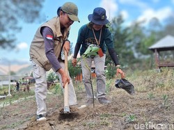 Ijen Geopark Tanam Pohon Alpukat di Lahan Bekas Kebakaran Kawah Wurung