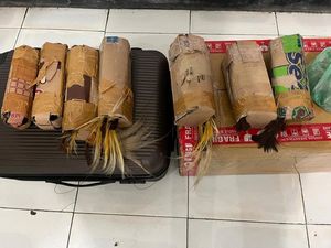 Polisi Gagalkan Penyelundupan 7 Burung Cenderawasih di Pelabuhan Jayapura