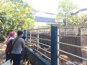 Sederet Alasan Kamu Wajib ke Taman Flora Surabaya Sederet Alasan Kamu Wajib ke Taman Flora Surabaya