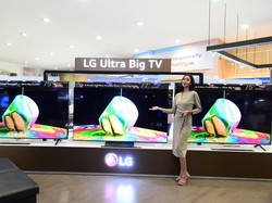 LG OLED Evo C3 & QNED80 TIba di RI, Bawa Layar Besar Audio Imersif