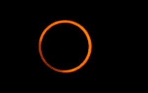 Gerhana Matahari Cincin 2 Oktober 2024, Bisa Dilihat di Mana Saja? Gerhana Matahari Cincin 2 Oktober 2024, Bisa Dilihat di Mana Saja?
