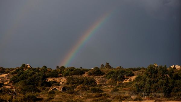 Semburat Pelangi Muncul di Tengah Konflik Israel-Palestina