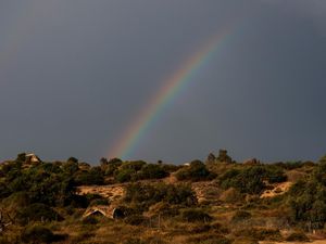 Semburat Pelangi Muncul di Tengah Konflik Israel-Palestina