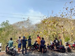 5 Hektare Lahan Gunung Roto Kulon Progo Terbakar, 4 Dusun Terancam