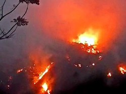 Hutan Gunung Cengkik Hangus Terbakar