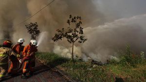 8 Mobil Damkar Dikerahkan Imbas Kebakaran Lahan di Surabaya