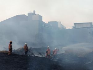 Pemkot Surabaya Antisipasi Kebakaran Lahan saat Kemarau