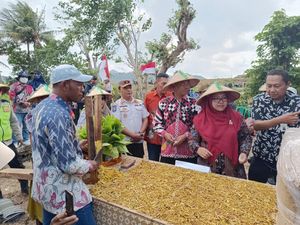 Pemkab Gresik Berikan Manfaat DBHCHT ke Petani Tembakau di Pulau Bawean