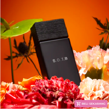 Review SAFF & Co varian summer on the beach