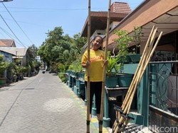 Belajar Egrang Sejak Kelas 2 SD, Kini Adelia Juara Nasional