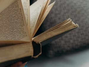 Punya Koleksi Buku di Rumah? Begini Cara Merawatnya Agar Tidak Menguning