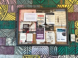 Dunia Hari Ini: Australia Tolak Badan Penasihat Warga Pribumi Masuk dalam Konstitusi