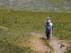 989 Hektare Lahan Bromo Menghijau Kembali, Awas Jangan Dirusak Lagi!