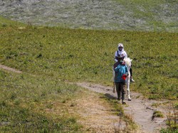 989 Hektare Lahan Bromo Menghijau Kembali, Awas Jangan Dirusak Lagi!