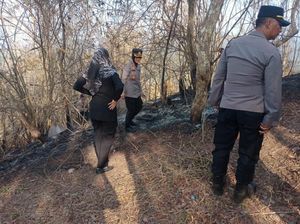 Kebakaran Gunung Roto Kulon Progo Dipicu Warga Bakar Daun Kering