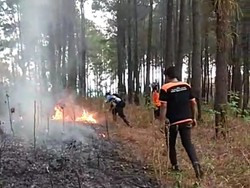 32 Peristiwa Kebakaran Hutan dan Lahan di Trenggalek Selama Musim Kemarau