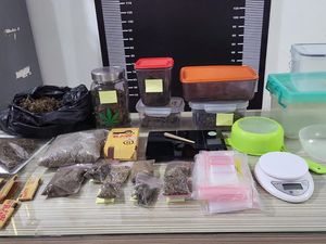 Polisi Tangkap Bandar dan Pengguna Narkoba, Sita 1,3 Kg Ganja