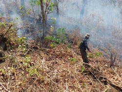 6 Hektare Lahan di Banyupoh Buleleng Terbakar