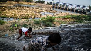 Mengering, Sungai Cisadane di Tangerang Jadi Tempat Bermain