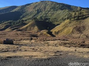 Potret Savana Gunung Bromo Kembali Menghijau Potret Savana Gunung Bromo Kembali Menghijau