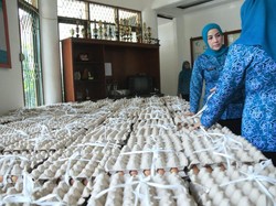 Pemkab Bogor Bagikan 60 Ribu Telur ke 12 Kecamatan demi Zero Stunting