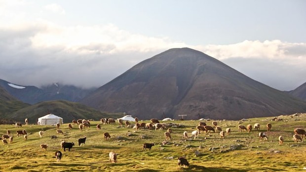 Alasan Mongolia cocok jadi destinasi wisata para introvert