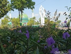 Merdunya Kicauan Jalak Hitam di Taman Arek Lancor Pamekasan