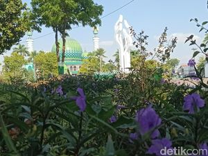 Merdunya Kicauan Jalak Hitam di Taman Arek Lancor Pamekasan Merdunya Kicauan Jalak Hitam di Taman Arek Lancor Pamekasan