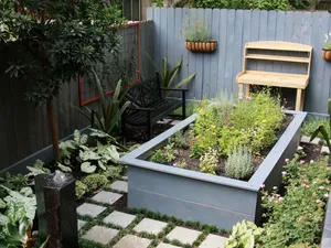 4 Hal yang Harus Dipertimbangkan Sebelum Bikin Taman di Rumah