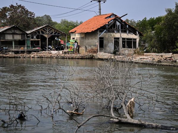 Dampak Perubahan Iklim Mengancam 160 Juta Jiwa Masyarakat Pesisir