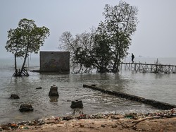 Pakar IPB Ingatkan Capres 2024, Sebut RI Bisa Rugi Rp 110 T dari Sektor Ini