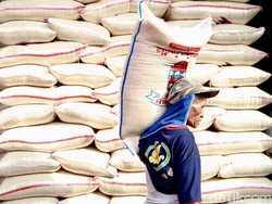 Beras Premium Langka di Minimarket, Bapanas: Pasokan Bulog Sudah Berjalan