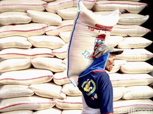 Harga Beras Naik tapi Penghasilan Mandek Bikin Daya Beli Turun Harga Beras Naik tapi Penghasilan Mandek Bikin Daya Beli Turun