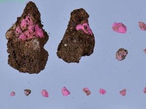 Arkeolog Temukan Harta Karun Berusia Hampir 2.000 Tahun di Turki, Apa Isinya?