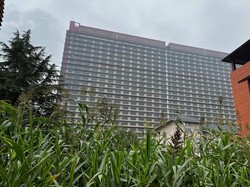 China Punya Hotel  Khusus untuk Babi, Ada 26 Lantai!