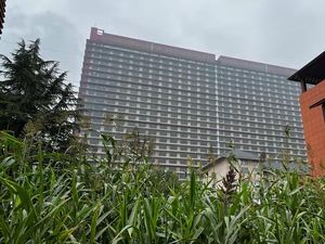 Tahu Nggak China Punya Hotel 26 Lantai untuk Babi, Begini Bentuknya Tahu Nggak China Punya Hotel 26 Lantai untuk Babi, Begini Bentuknya