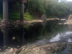 Sorotan ke Sungai Cileungsi yang Hitam dan Bau hingga Ikan Mati
