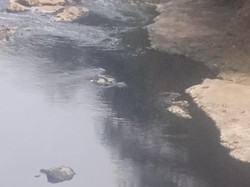 Pemkab Bogor Cek Pencemaran di Sungai Cileungsi Besok