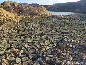 Petani di Sidrap Terancam Tak Bisa Tanam Padi gegara Waduk Mengering