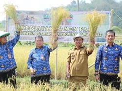 Antisipasi Dampak El Nino, Purwakarta Sukses Surplus Beras 59 Ton