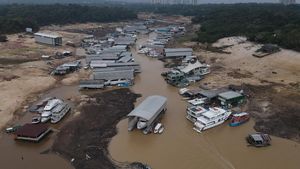 Potret Kekeringan di Amazon Terparah dalam 121 Tahun