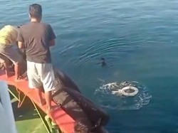 Penumpang KM Queen Soya Lompat ke Laut Saat Kapal Mau Sandar di Parepare