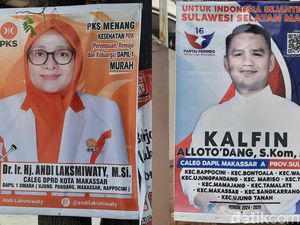 Makassar Disesaki Baliho Caleg-Capres, Banyak yang Dipaku di Pohon