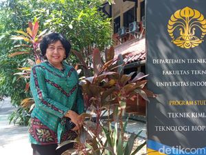 Cerita Guru Besar FTUI Soal Daun Sambung Nyawa, Bisa Sembuhkan Manusia-Anabul Cerita Guru Besar FTUI Soal Daun Sambung Nyawa, Bisa Sembuhkan Manusia-Anabul